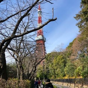 Meet your Posher, Irene